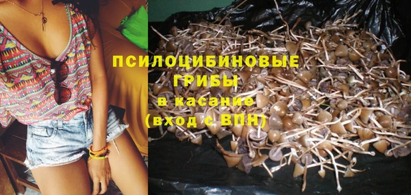 первитин Балахна